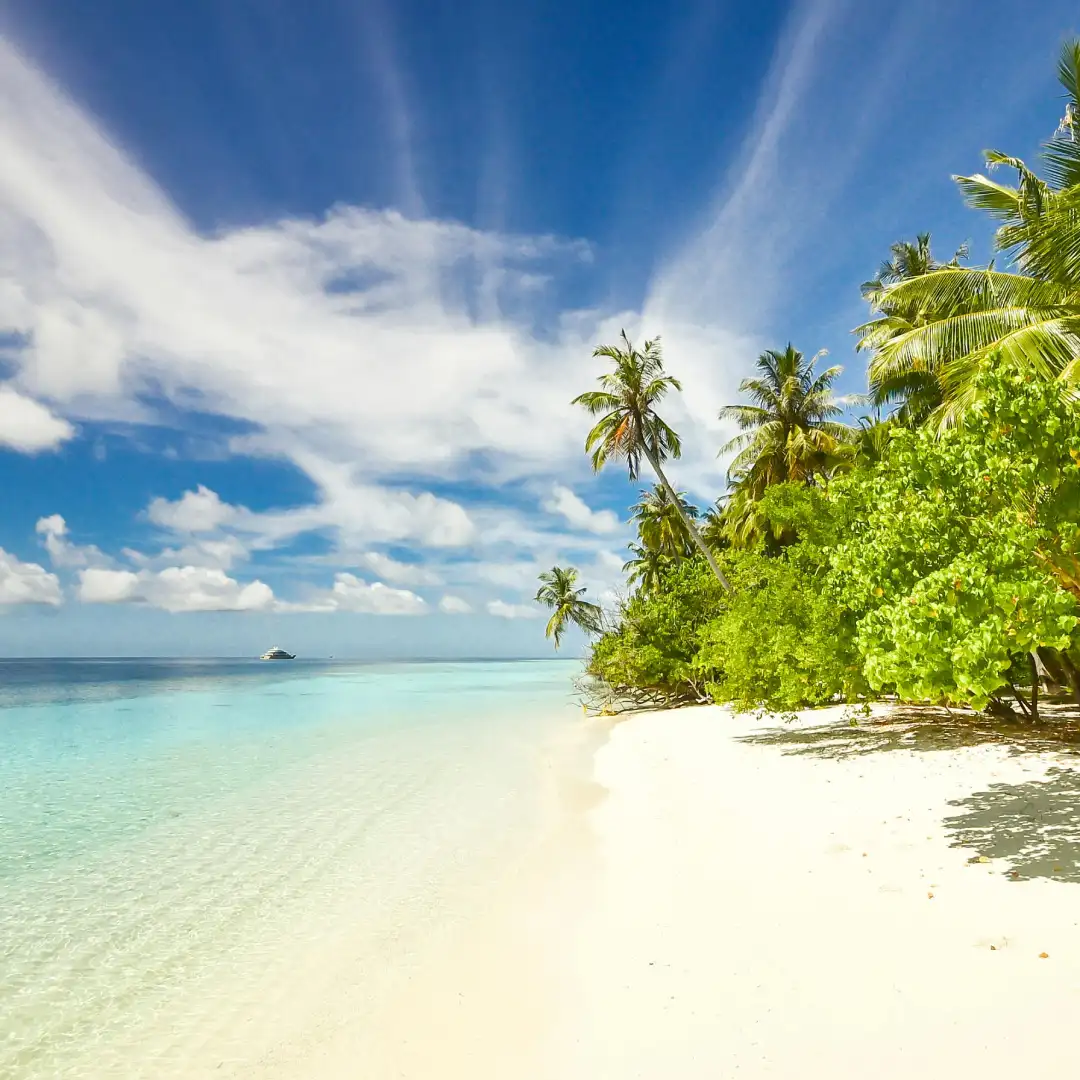 3 Days 2 Nights Jacaranda Beach Resort | Watamu - Image 5