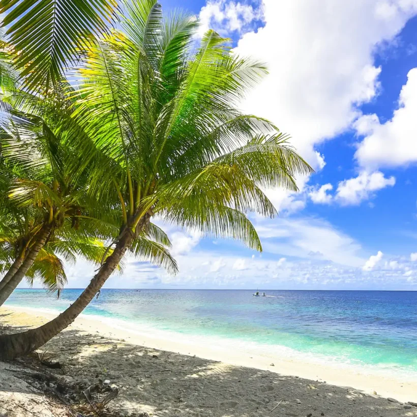 3 days 2 Nights Sun ‘n’ Sand Beach Resort - Image 5